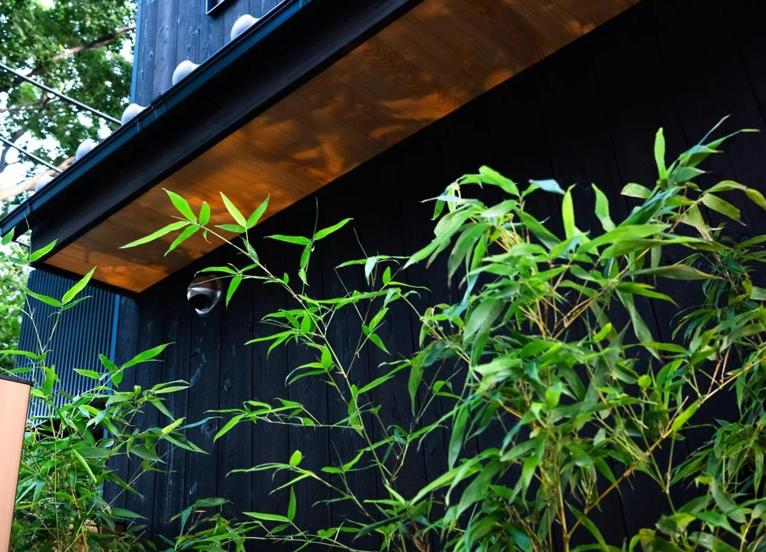 京都 暁 Akatsuki Japan
